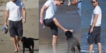 #OK! პრინცი ჰარი ოთხფეხა მეგობართან ერთად სანაპიროზე ისვენებს