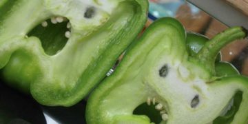 #OK! ყველაზე უცნაური ფორმისა და ზომის საკვები: ფოტოები, რომლებსაც შედეგით გაოცებული ადამიანები სოციალურ ქსელებში ავრცელებენ