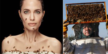 #OK! ანჯელინა ჯოლი მეფუტკრე ქალების მხარდასაჭერად