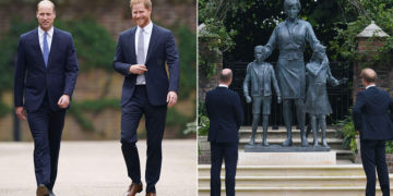 #OK! პრინცმა ჰარიმ და პრინცმა უილიამმა პრინცესა დაიანას ქანდაკება გახსნეს