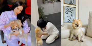 #OK! როგორ დახვდა ესპანური მოგზაურობიდან დაბრუნებულ შორენა ბეგაშვილს მისი ოთხფეხა მეგობარი: ქართველი ვარსკვლავის სახალისო ვიდეო!