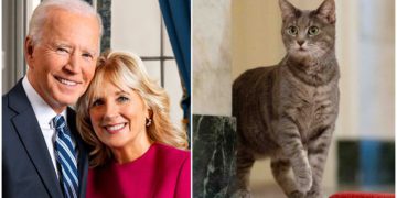 #OK! თეთრ სახლს ახალი ბინადარი “ფისო უილოუ” შეუერთდა