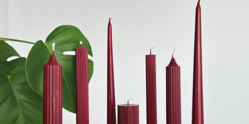 #OK! ტიტესია – ერთ სივრცეში გაერთიანებული სილამაზე, სინათლე, ძლიერება და სიცოცხლე