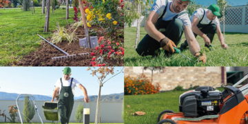 #OK! მწვანე პარტნიორი – ექსტერიერ-ინტერიერის გამწვანება და ზრუნვა