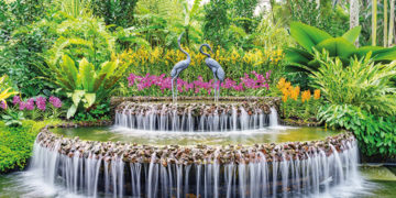 #OK! ორქიდეის ბაღი სინგაპურში