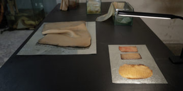 #OK! ვეგანური, ბიოდეგრადირებადი ტყავი