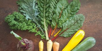 #OK! ბიომეურნეობა „ფონა“