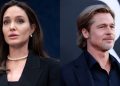 #OK! ანჯელინა ჯოლი ბრედ პიტის წინააღმდეგ! ვარსკვლავური წყვილის მრავალწლიანი დავა
