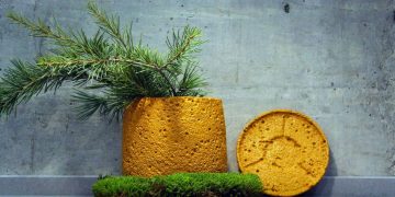 #OK! „მწვანე გარემო“ დახვეწილ ქოთნებში…