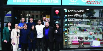 #OK! საქართველოს ცხოველთა ფედერაცია (GAF) ქუთაისში
