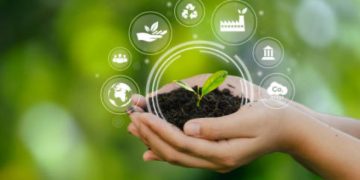 #OK! კორპორაციული სოციალური პასუხისმგებლობა (CSR) და გარემოს დაცვა: მდგრადი პრაქტიკის გათვალისწინება