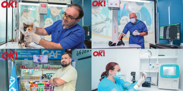 #OK! საქართველოს ცხოველთა ფედერაცია – 24 საათი თქვენი ოთხფეხა მეგობრების სამსახურში