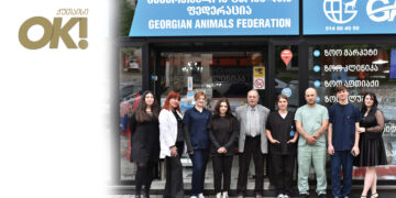 #OK! სიცოცხლის გვერდით – სიყვარულით, პროფესიონალიზმითა და პასუხისმგებლობით