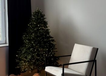 #OK! ფოტოგრაფია – ეს არის მეხსიერება