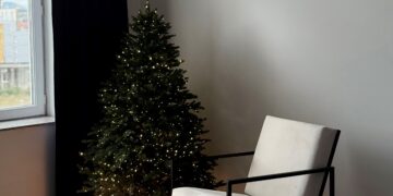 ფოტოგრაფია – ეს არის მეხსიერება