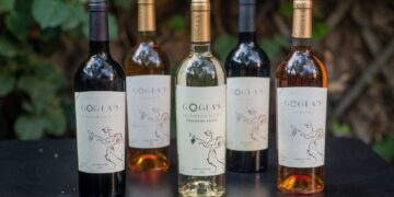 GOGLA’s ახდენილი ოცნება – ნინო თუთბერიძე