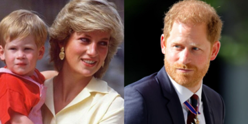 #OK! დედაზე მოგონებების აღსადგენად პრინცმა ჰარიმ სენსორული თერაპია ჩაიტარა